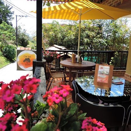 Guatapé Oak Tree Houseゲストハウス エクステリア 写真