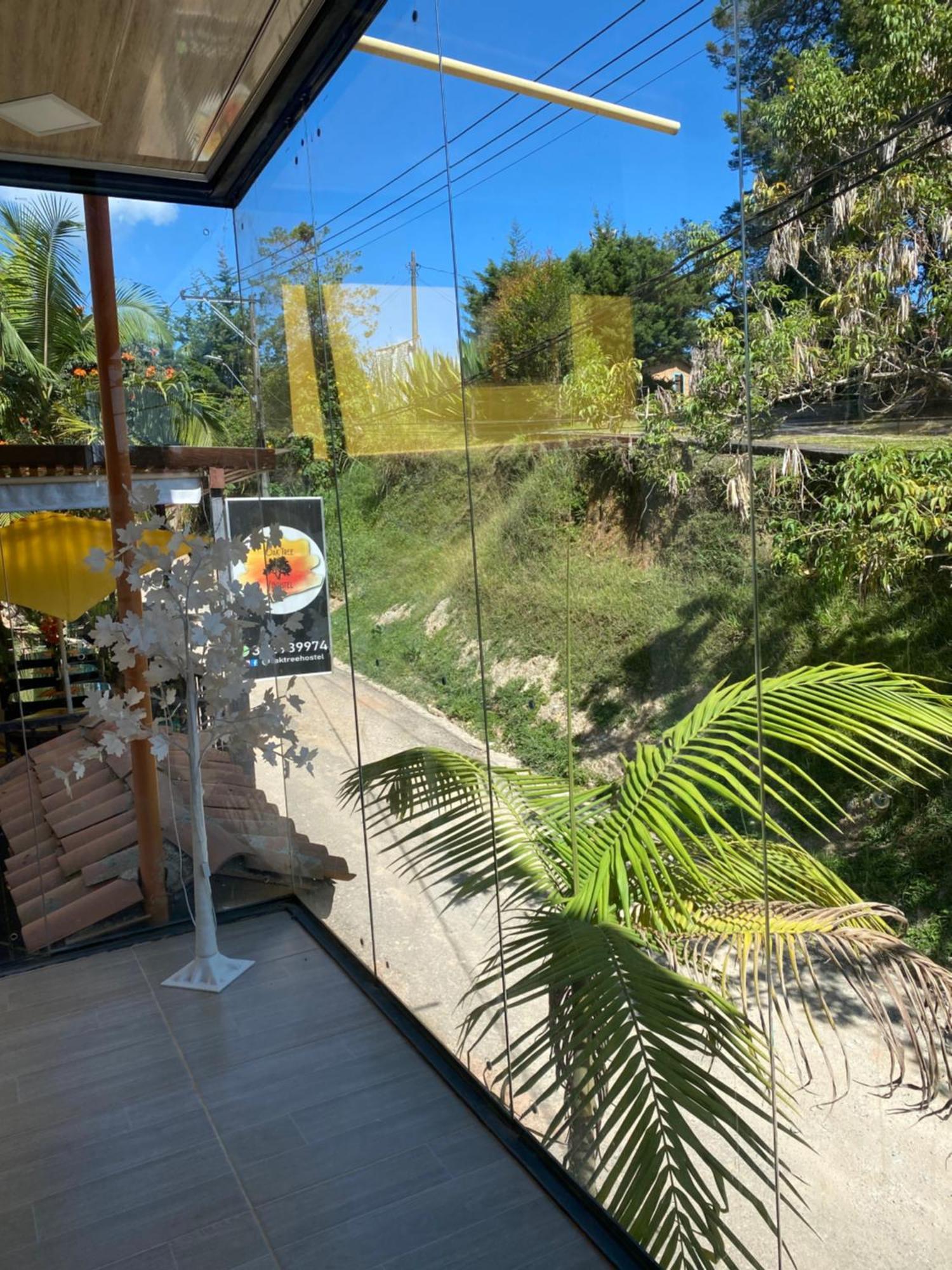 Guatapé Oak Tree Houseゲストハウス エクステリア 写真
