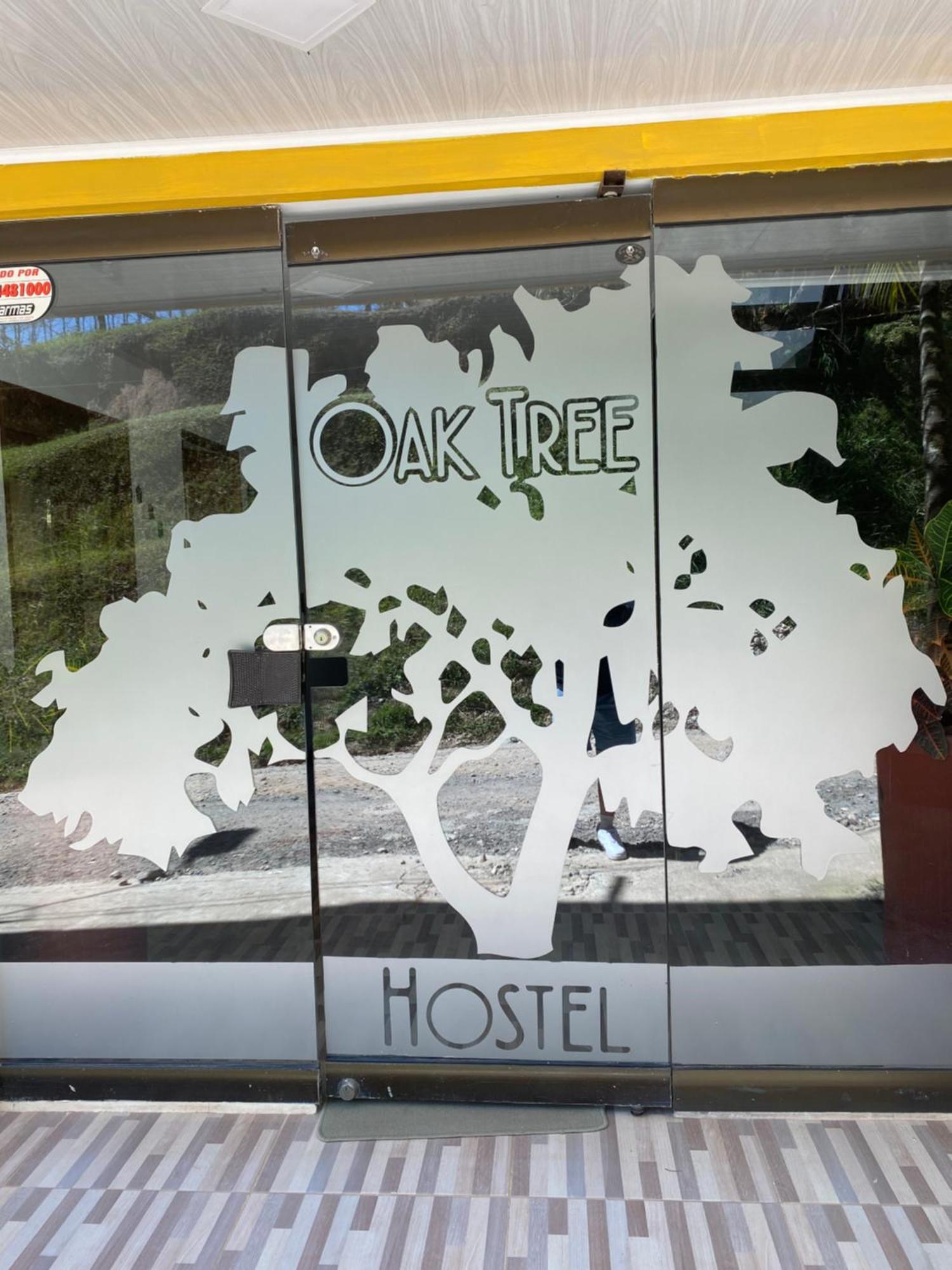 Guatapé Oak Tree Houseゲストハウス エクステリア 写真